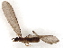  ( - BIOUG46358-A12)  @11 [ ] CreativeCommons - Attribution (2021) CBG Photography Group Centre for Biodiversity Genomics