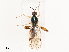  ( - CBG-B21620-C01)  @11 [ ] CreativeCommons - Attribution Share - Alike (2025) CBG Photography Group Centre for Biodiversity Genomics