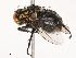  ( - CBG-B21623-F06)  @11 [ ] CreativeCommons - Attribution Share - Alike (2025) CBG Photography Group Centre for Biodiversity Genomics