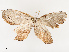  ( - CBG-B21625-A02)  @11 [ ] CreativeCommons - Attribution Share - Alike (2025) CBG Photography Group Centre for Biodiversity Genomics