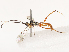  ( - CBG-B21727-B09)  @11 [ ] CreativeCommons - Attribution Share - Alike (2025) CBG Photography Group Centre for Biodiversity Genomics