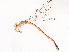  ( - CBG-B21727-H02)  @11 [ ] CreativeCommons - Attribution Share - Alike (2025) CBG Photography Group Centre for Biodiversity Genomics