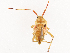  (Savius - CBG-B21728-A01)  @11 [ ] CreativeCommons - Attribution Share - Alike (2025) CBG Photography Group Centre for Biodiversity Genomics
