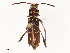  ( - CBG-B21729-E12)  @11 [ ] CreativeCommons - Attribution Share - Alike (2025) CBG Photography Group Centre for Biodiversity Genomics