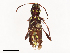  ( - CBG-B21790-B03)  @11 [ ] CreativeCommons - Attribution Share - Alike (2025) CBG Photography Group Centre for Biodiversity Genomics