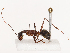  ( - CBG-B21728-E04)  @11 [ ] CreativeCommons - Attribution Share - Alike (2025) CBG Photography Group Centre for Biodiversity Genomics