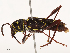  ( - CBG-B22930-F09)  @11 [ ] CreativeCommons - Attribution Share - Alike (2025) CBG Photography Group Centre for Biodiversity Genomics