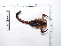  ( - INB0003535081)  @11 [ ] Copyright (2012) C. Viquez Instituto Nacional de Biodiversidad