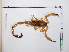  ( - INB0004324101)  @11 [ ] Copyright (2012) C. Viquez Instituto Nacional de Biodiversidad