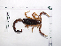  ( - INB0004325160)  @11 [ ] Copyright (2012) C. Viquez Instituto Nacional de Biodiversidad