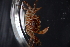  ( - LACM:DISCO:12927)  @11 [ ] By (2019) Natural History Museum of Los Angeles County Natural History Museum of Los Angeles County