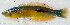  ( - 1262_014)  @11 [ ] CreativeCommons Attribution ShareAlike (2022) Institut Halieutique et des Sciences Marines Institut Halieutique et des Sciences Marines
