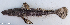  ( - 1270_006)  @11 [ ] CreativeCommons Attribution ShareAlike (2022) Institut Halieutique et des Sciences Marines Institut Halieutique et des Sciences Marines