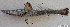  ( - 1277_013)  @11 [ ] CreativeCommons Attribution ShareAlike (2021) Institut Halieutique et des Sciences Marines Institut Halieutique et des Sciences Marines