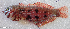 ( - 1288_001)  @11 [ ] CreativeCommons Attribution ShareAlike (2022) Institut Halieutique et des Sciences Marines Institut Halieutique et des Sciences Marines