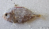  ( - 1297_002)  @11 [ ] CreativeCommons Attribution ShareAlike (2021) Institut Halieutique et des Sciences Marines Institut Halieutique et des Sciences Marines