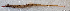  ( - 1306_024)  @11 [ ] CreativeCommons Attribution ShareAlike (2021) Institut Halieutique et des Sciences Marines Institut Halieutique et des Sciences Marines