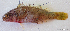  ( - 1319_003)  @11 [ ] CreativeCommons Attribution ShareAlike (2021) Institut Halieutique et des Sciences Marines Institut Halieutique et des Sciences Marines