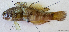  ( - 1319_011)  @11 [ ] CreativeCommons Attribution ShareAlike (2021) Institut Halieutique et des Sciences Marines Institut Halieutique et des Sciences Marines