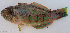  ( - 1329_004)  @11 [ ] CreativeCommons Attribution ShareAlike (2022) Institut Halieutique et des Sciences Marines Institut Halieutique et des Sciences Marines