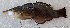  ( - 1436_011)  @11 [ ] CreativeCommons Attribution ShareAlike (2022) Institut Halieutique et des Sciences Marines Institut Halieutique et des Sciences Marines