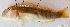  ( - 1449_005)  @11 [ ] CreativeCommons Attribution ShareAlike (2022) Institut Halieutique et des Sciences Marines Institut Halieutique et des Sciences Marines