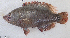  ( - 1457_002)  @11 [ ] CreativeCommons Attribution ShareAlike (2022) Institut Halieutique et des Sciences Marines Institut Halieutique et des Sciences Marines