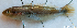  ( - 1611_010)  @11 [ ] CreativeCommons Attribution ShareAlike (2022) Institut Halieutique et des Sciences Marines Institut Halieutique et des Sciences Marines