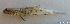  ( - 1842_017)  @11 [ ] CreativeCommons Attribution ShareAlike (2022) Institut Halieutique et des Sciences Marines Institut Halieutique et des Sciences Marines