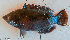  ( - 2028_007)  @11 [ ] CreativeCommons Attribution ShareAlike (2023) Institut Halieutique et des Sciences Marines Institut Halieutique et des Sciences Marines