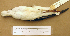  ( - AJB 4790)  @12 [ ] CreativeCommons - Attribution (2010) Unspecified Royal Ontario Museum