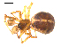  ( - 09ONTGAB-177)  @13 [ ] CC-0 (2009) Gergin Blagoev, Centre for Biodiversity Genomics Unspecified