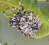  ( - BIOUG38875-E02)  @11 [ ] CC-0 (2019) Unspecified Unspecified