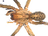  ( - BIOUG00039-H09)  @12 [ ] CC-0  G. Blagoev 2010 Unspecified