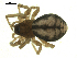  ( - CCDB-04289-A01)  @12 [ ] CreativeCommons - Attribution (2009) Gergin Blagoev, Centre for Biodiversity Genomics Centre for Biodiversity Genomics