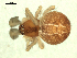  ( - CCDB-04289-C06)  @13 [ ] CreativeCommons - Attribution (2009) Gergin Blagoev, Centre for Biodiversity Genomics Centre for Biodiversity Genomics