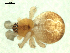  ( - CCDB-04289-C07)  @13 [ ] CreativeCommons - Attribution (2009) Gergin Blagoev, Centre for Biodiversity Genomics Centre for Biodiversity Genomics