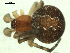  ( - CCDB-04289-C08)  @13 [ ] CreativeCommons - Attribution (2009) Gergin Blagoev, Centre for Biodiversity Genomics Centre for Biodiversity Genomics