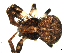  ( - CCDB-05259-C01)  @13 [ ] CreativeCommons - Attribution (2009) Gergin Blagoev, Centre for Biodiversity Genomics Centre for Biodiversity Genomics