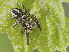  ( - BIOUG36909-F09)  @11 [ ] CC1 (2020) Unspecified Unspecified