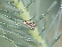  ( - BIOUG36912-A01)  @11 [ ] CC0 (2021) Unspecified Unspecified