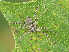  ( - BIOUG36909-G04)  @11 [ ] CC5 (2024) Unspecified Unspecified