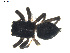  ( - BIOUG01979-F10)  @12 [ ] CC-0  G. Blagoev 2012 Unspecified