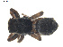 ( - BIOUG01979-F11)  @12 [ ] CC-0  G. Blagoev 2012 Unspecified