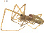 ( - BIOUG01979-G10)  @12 [ ] CC-0  G. Blagoev 2012 Unspecified