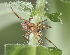  ( - BIOUG39662-H10)  @11 [ ] CC-0 (2020) Unspecified Unspecified
