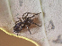  ( - BIOUG39663-B10)  @11 [ ] CC0 (2020) Unspecified Unspecified