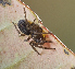  ( - BIOUG39663-C04)  @11 [ ] CC0 (2020) Unspecified Unspecified