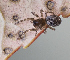  ( - BIOUG39663-C11)  @11 [ ] CC0 (2020) Unspecified Unspecified