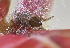  ( - BIOUG39663-C12)  @11 [ ] CC0 (2020) Unspecified Unspecified